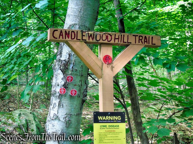 Candlewood Hill Trail - Fahnestock State Park
