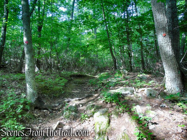 Candlewood Hill Trail - Fahnestock State Park