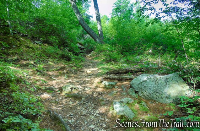 Candlewood Hill Trail - Fahnestock State Park