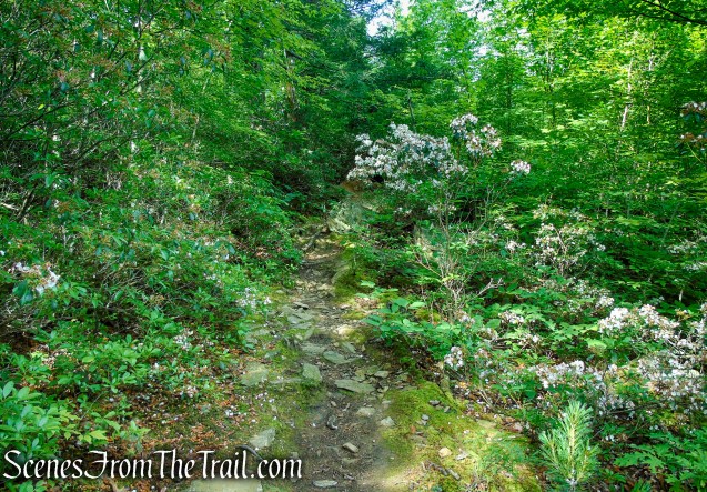 Candlewood Hill Trail – Fahnestock State Park