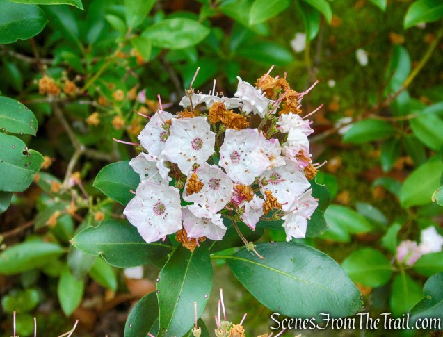 Candlewood Hill Trail – Fahnestock State Park