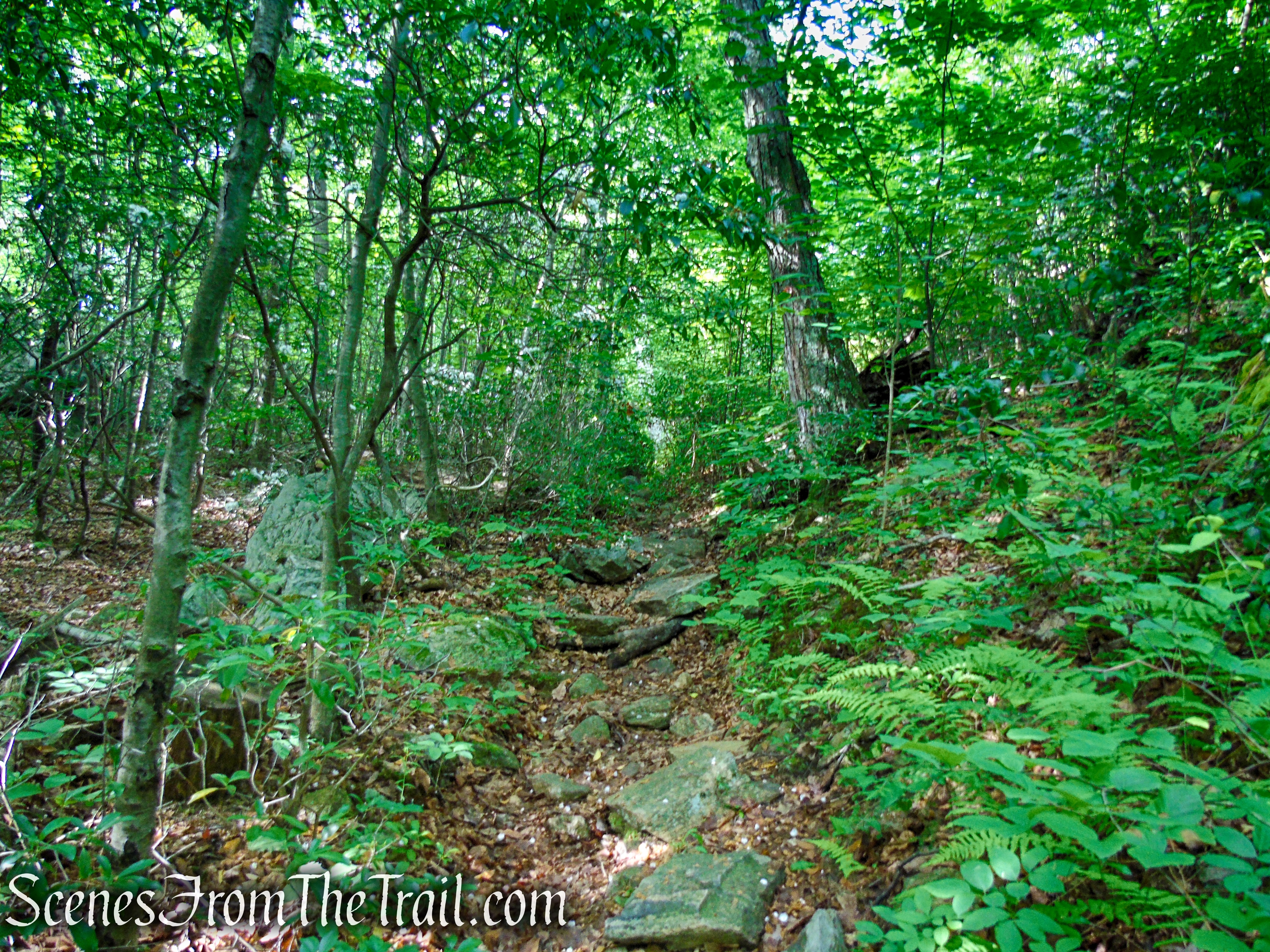 Candlewood Hill Trail – Fahnestock State Park
