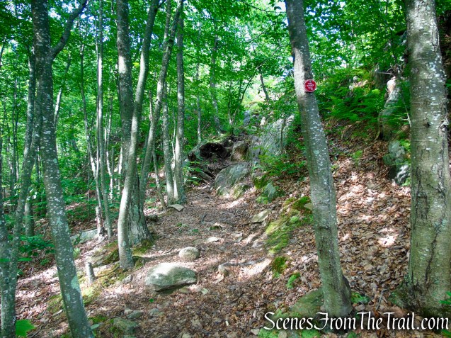 Candlewood Hill Trail – Fahnestock State Park