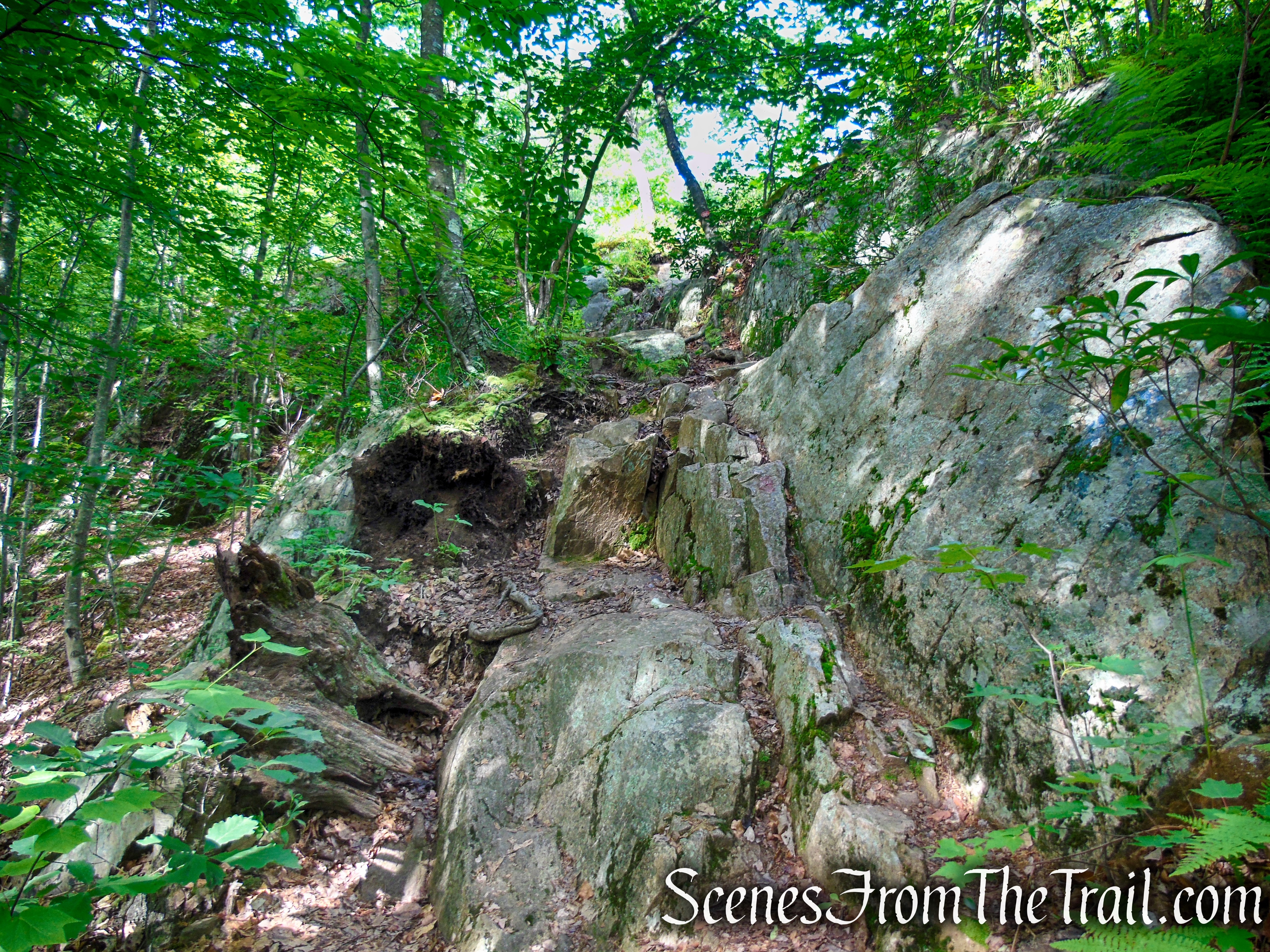 Candlewood Hill Trail – Fahnestock State Park