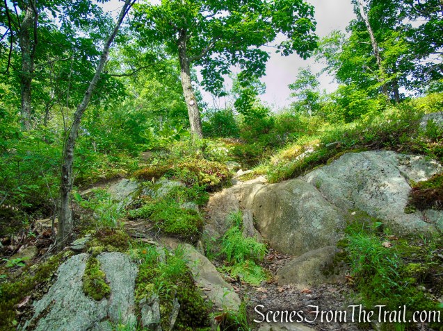 Candlewood Hill Trail – Fahnestock State Park