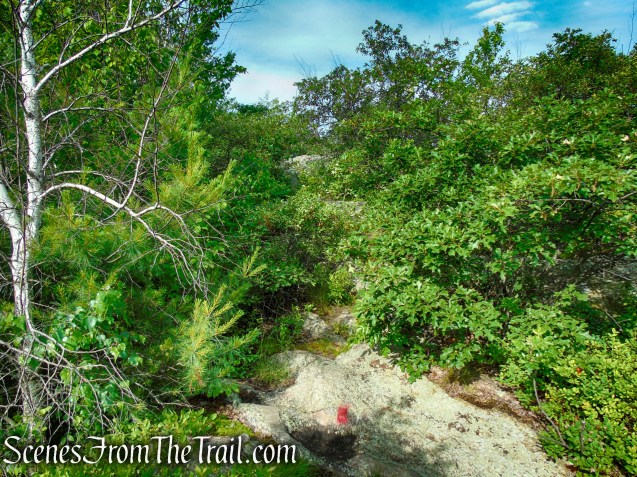 Candlewood Hill Trail – Fahnestock State Park