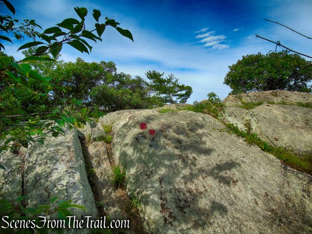 Candlewood Hill Trail – Fahnestock State Park