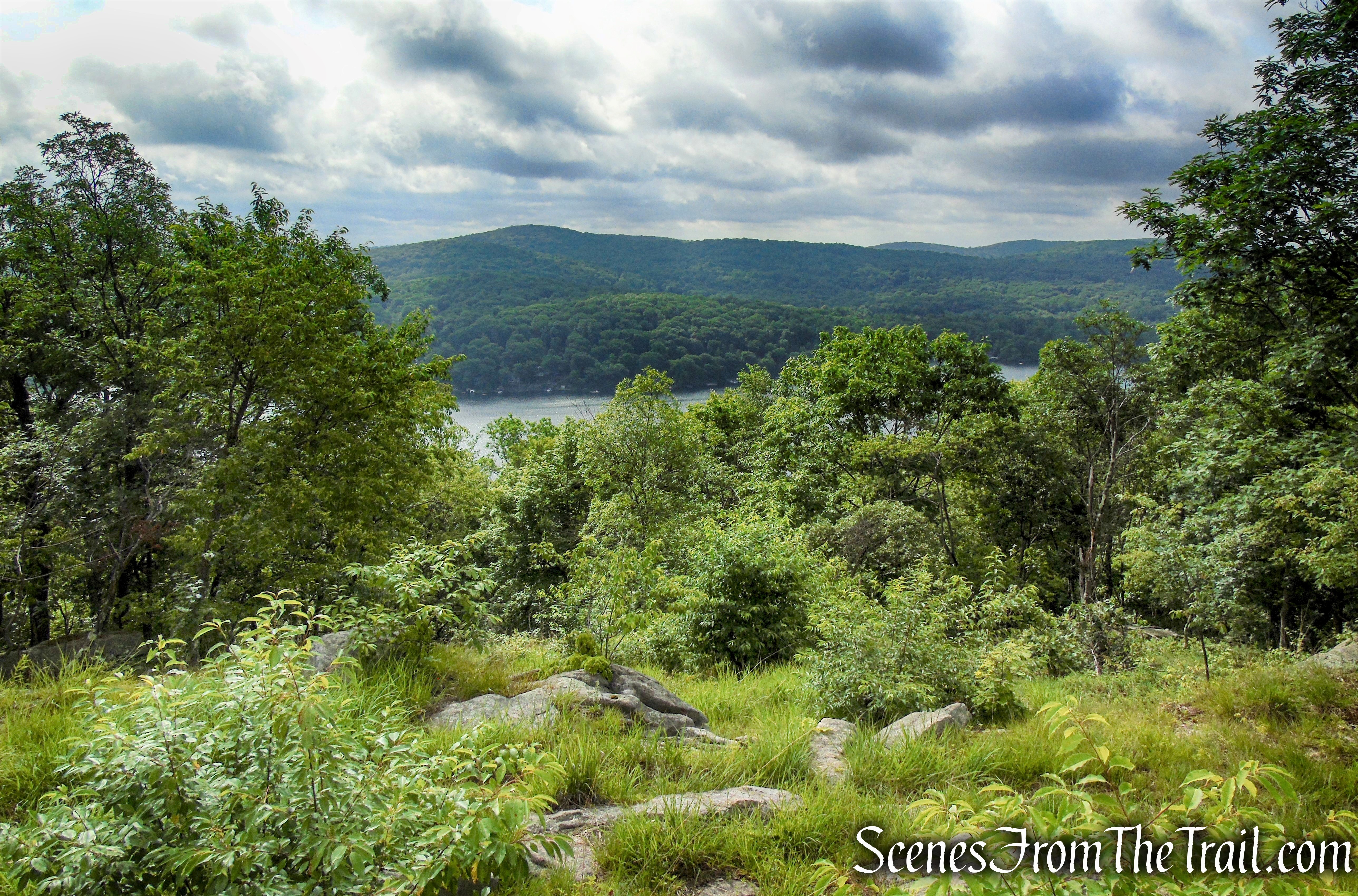 Oscawana Ridge Trail June 2021 - Fahnestock State Park