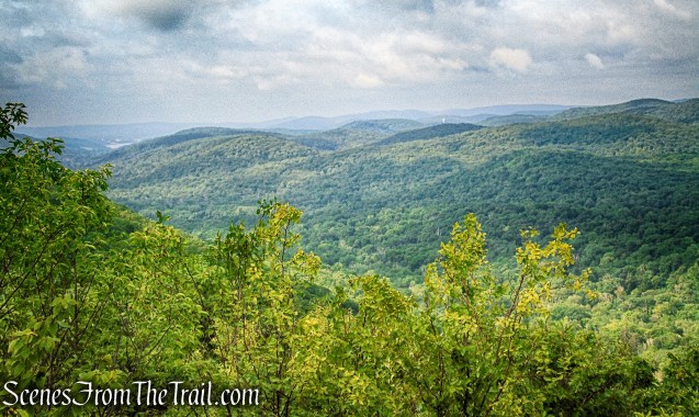 Oscawana Ridge Trail June 2021 - Fahnestock State Park