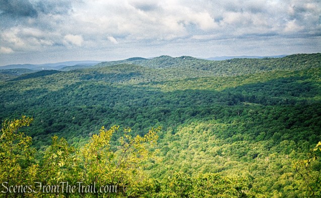 Oscawana Ridge Trail June 2021 - Fahnestock State Park