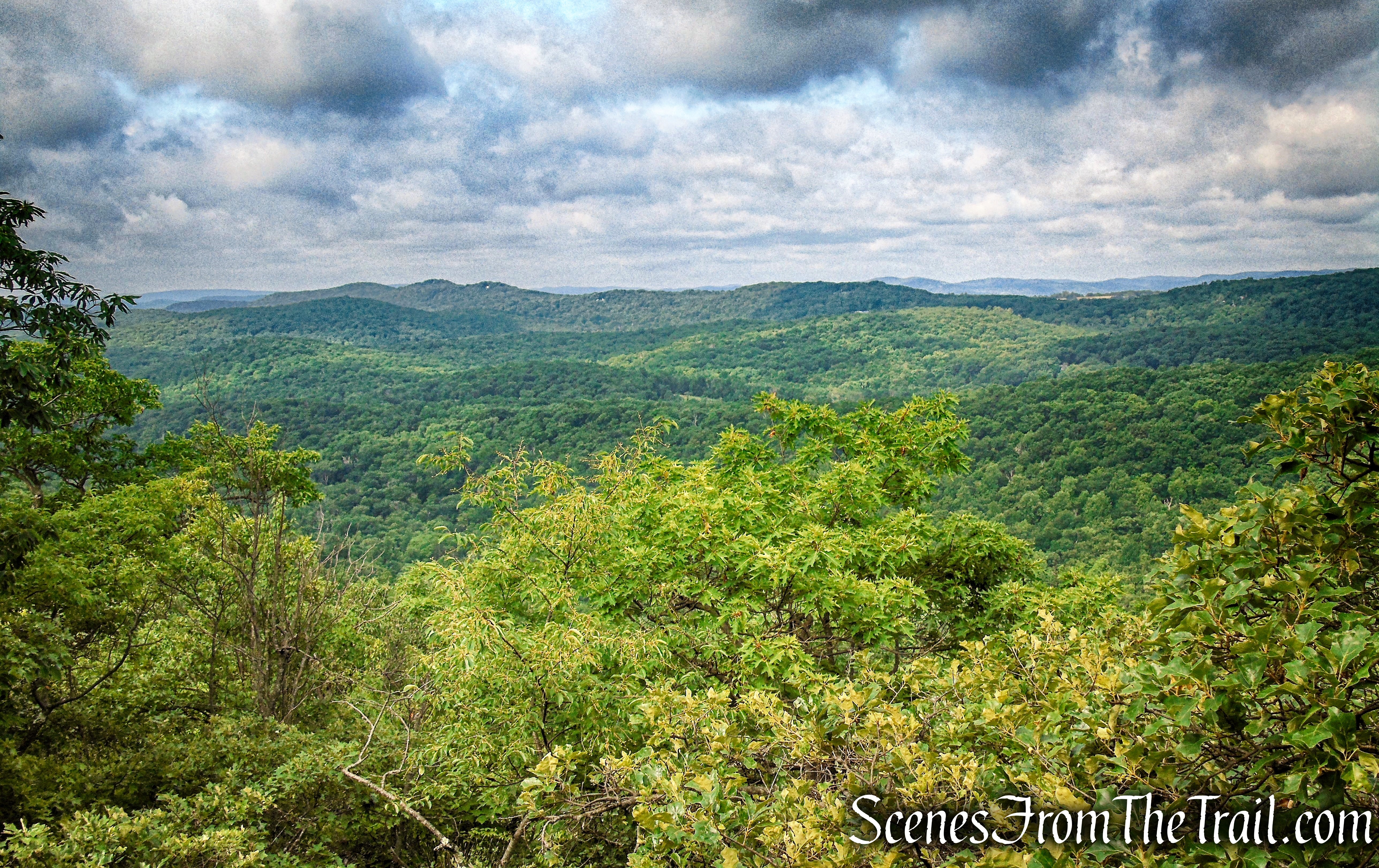 Oscawana Ridge Trail June 2021 - Fahnestock State Park