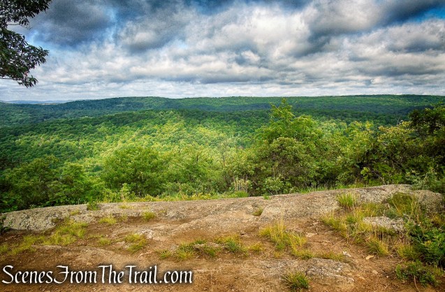 Oscawana Ridge Trail June 2021 - Fahnestock State Park