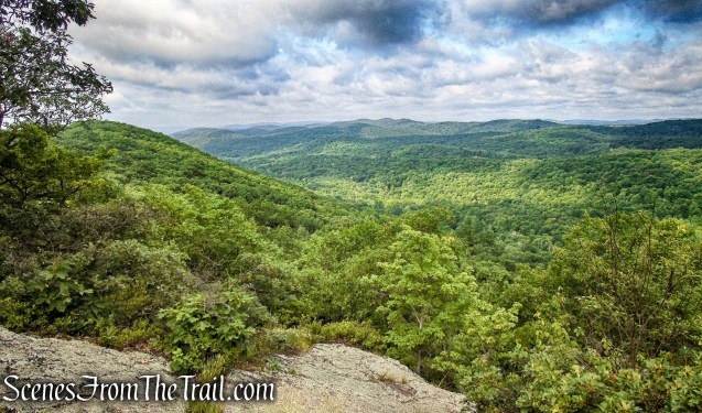 Oscawana Ridge Trail June 2021 - Fahnestock State Park