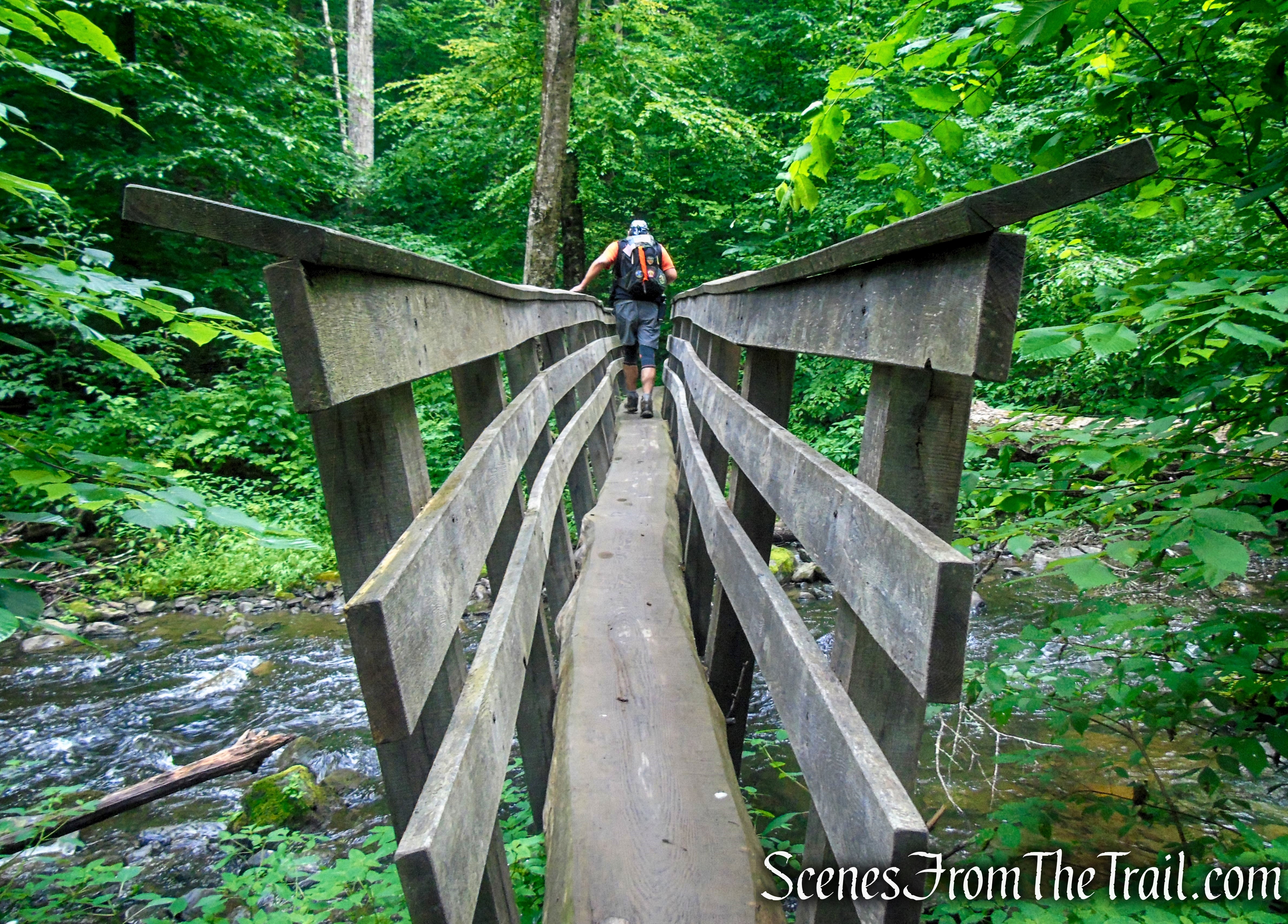 Lower Hornbecks Creek Trail – Delaware Water Gap