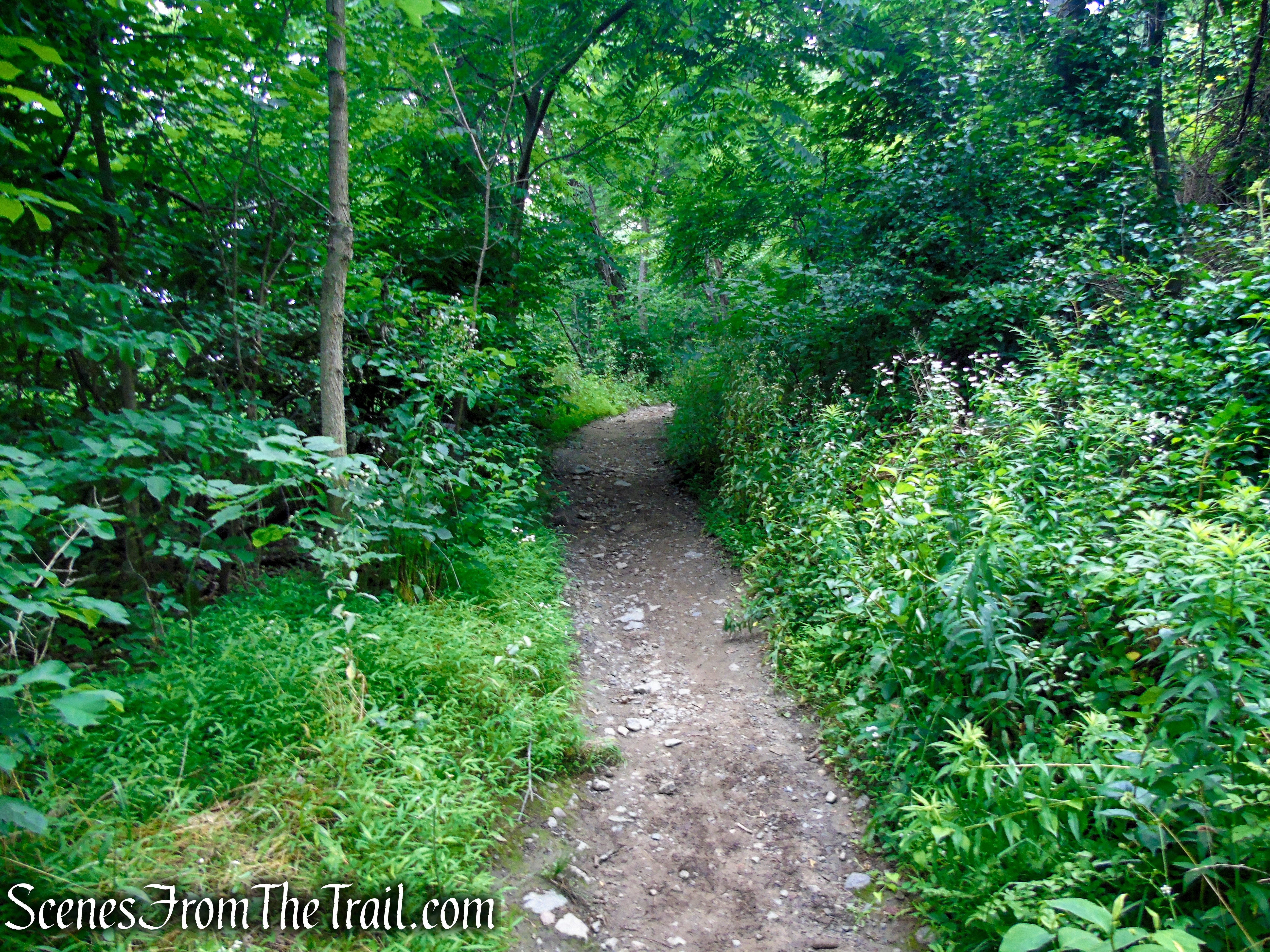 Wilkinson Memorial Trail - East Hudson Highlands