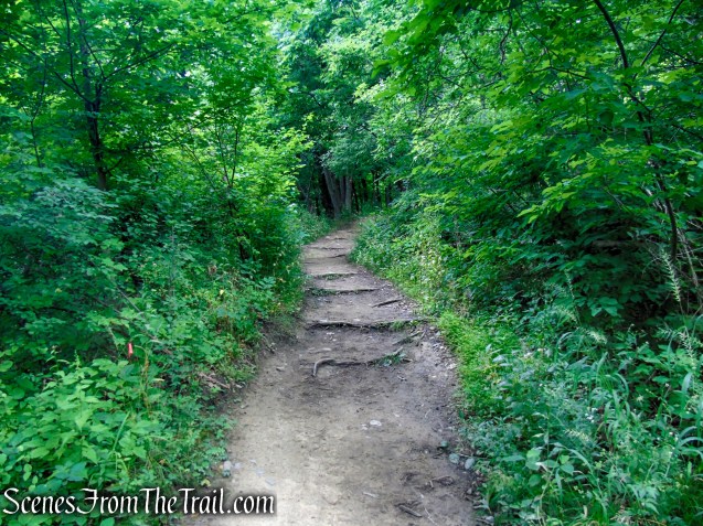 Wilkinson Memorial Trail - East Hudson Highlands
