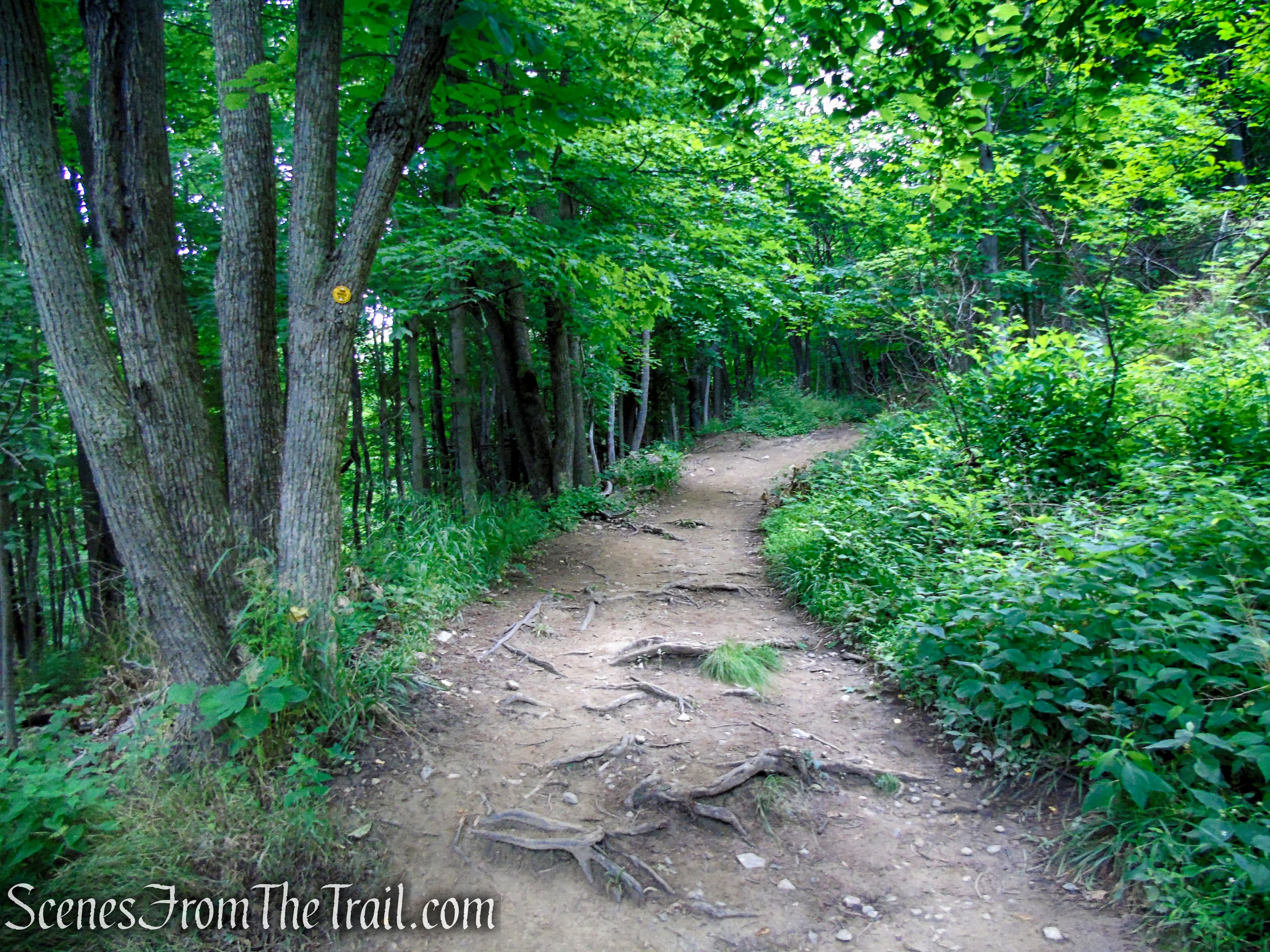 Wilkinson Memorial Trail - East Hudson Highlands