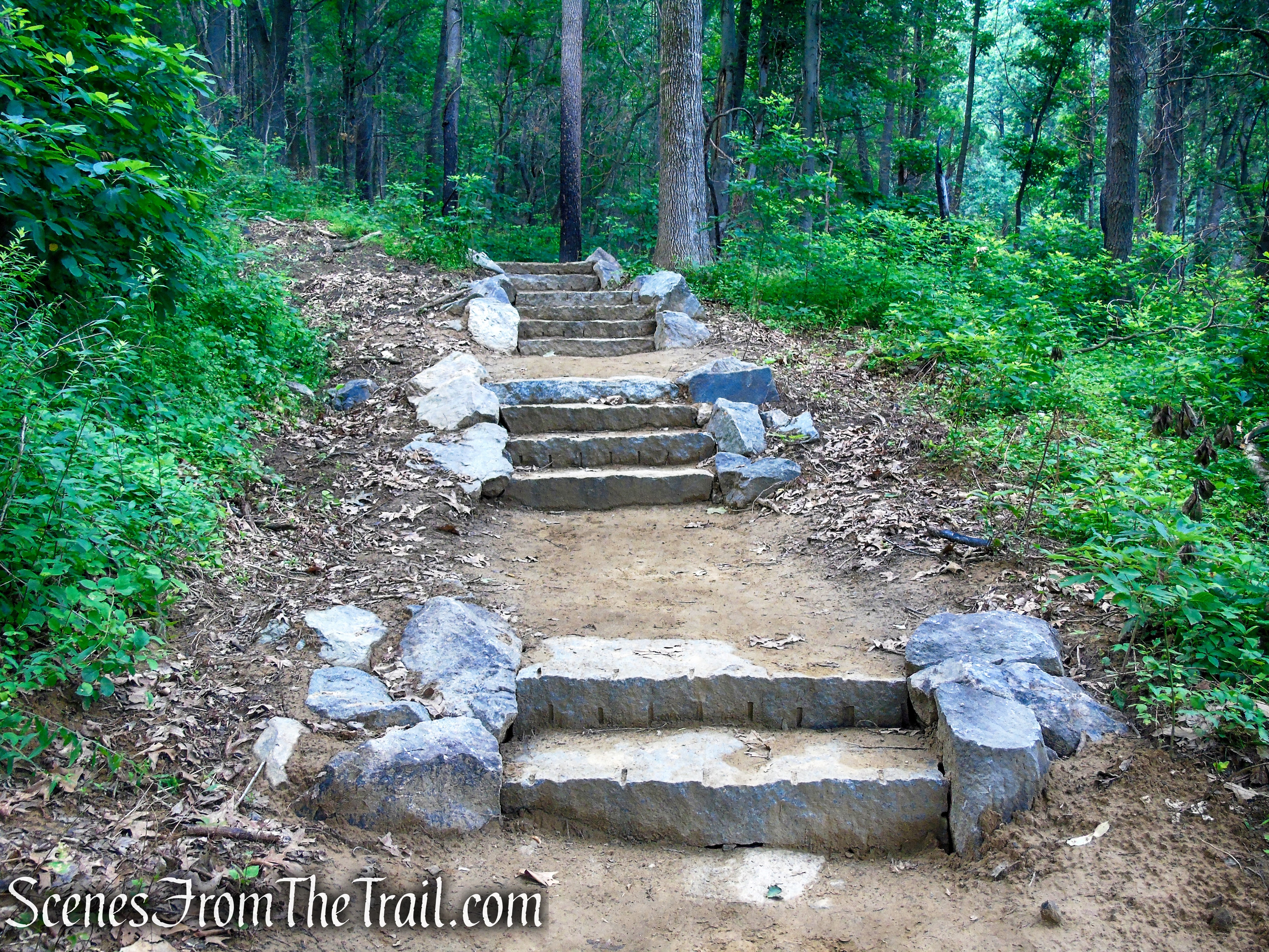Wilkinson Memorial Trail - East Hudson Highlands