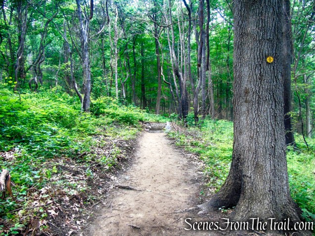 Wilkinson Memorial Trail – East Hudson Highlands
