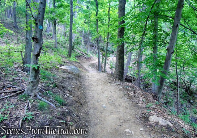 Nimham Trail - Breakneck Ridge