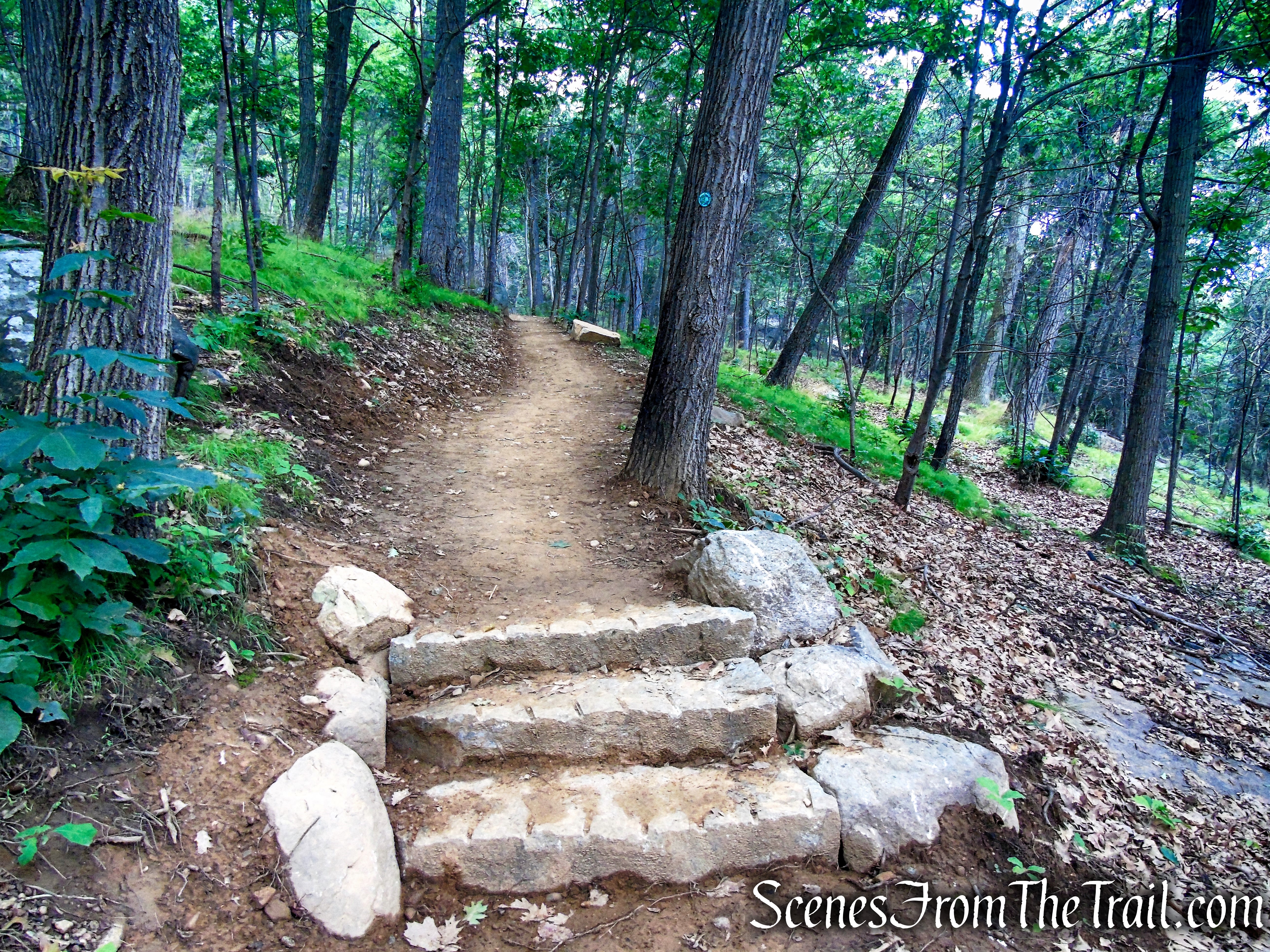 Nimham Trail - Breakneck Ridge
