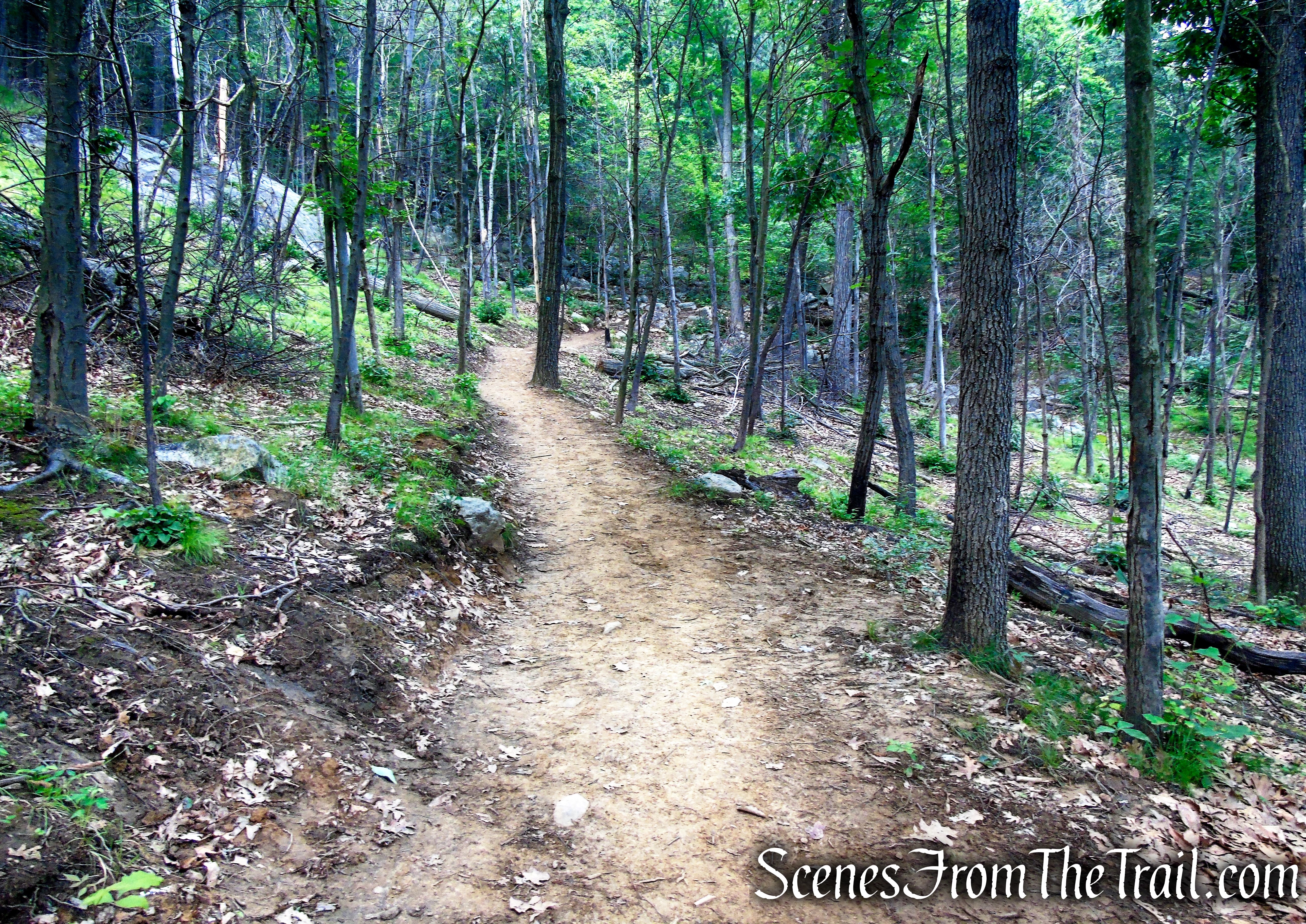Nimham Trail - Breakneck Ridge