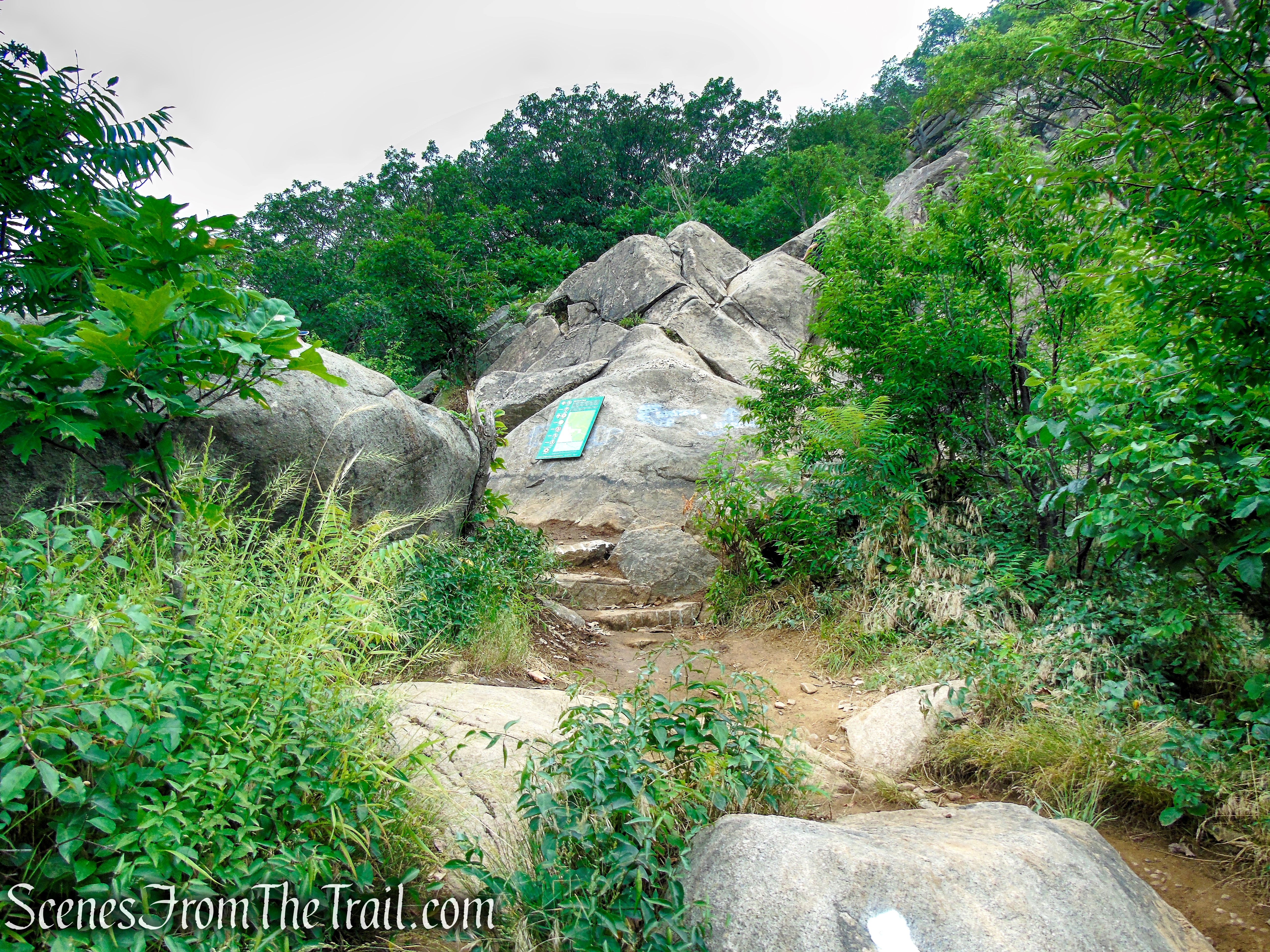 Breakneck Ridge Trail