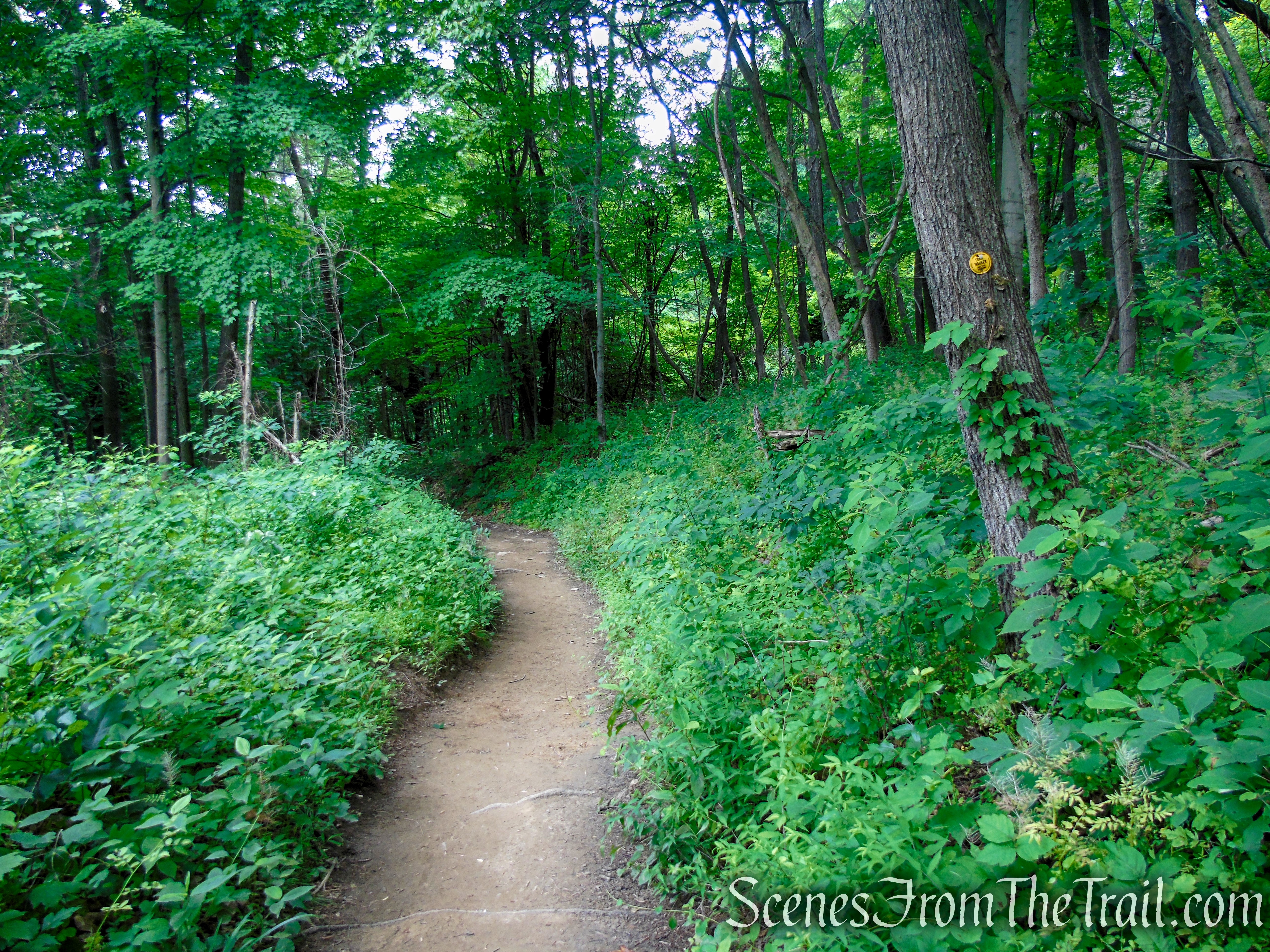 Wilkinson Memorial Trail