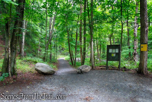 Lower Hornbecks Creek Trail