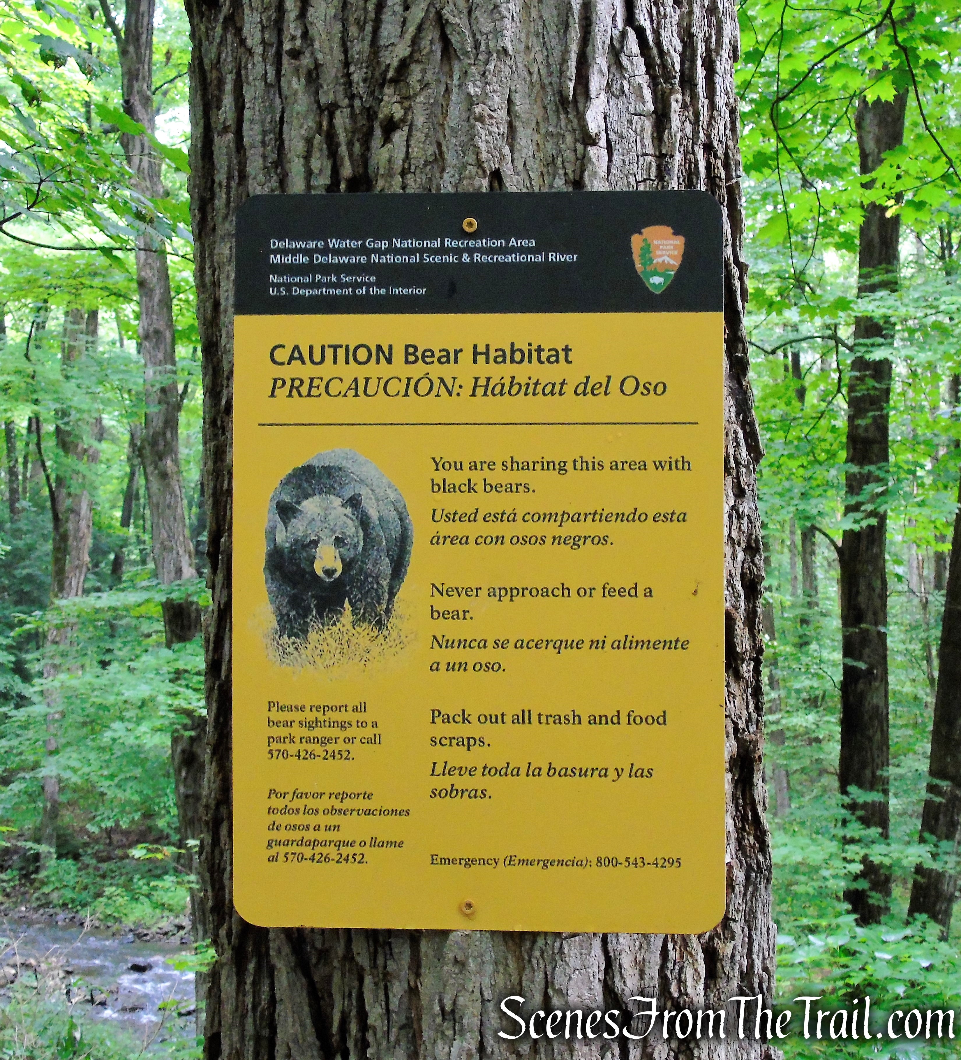 Lower Hornbecks Creek Trail