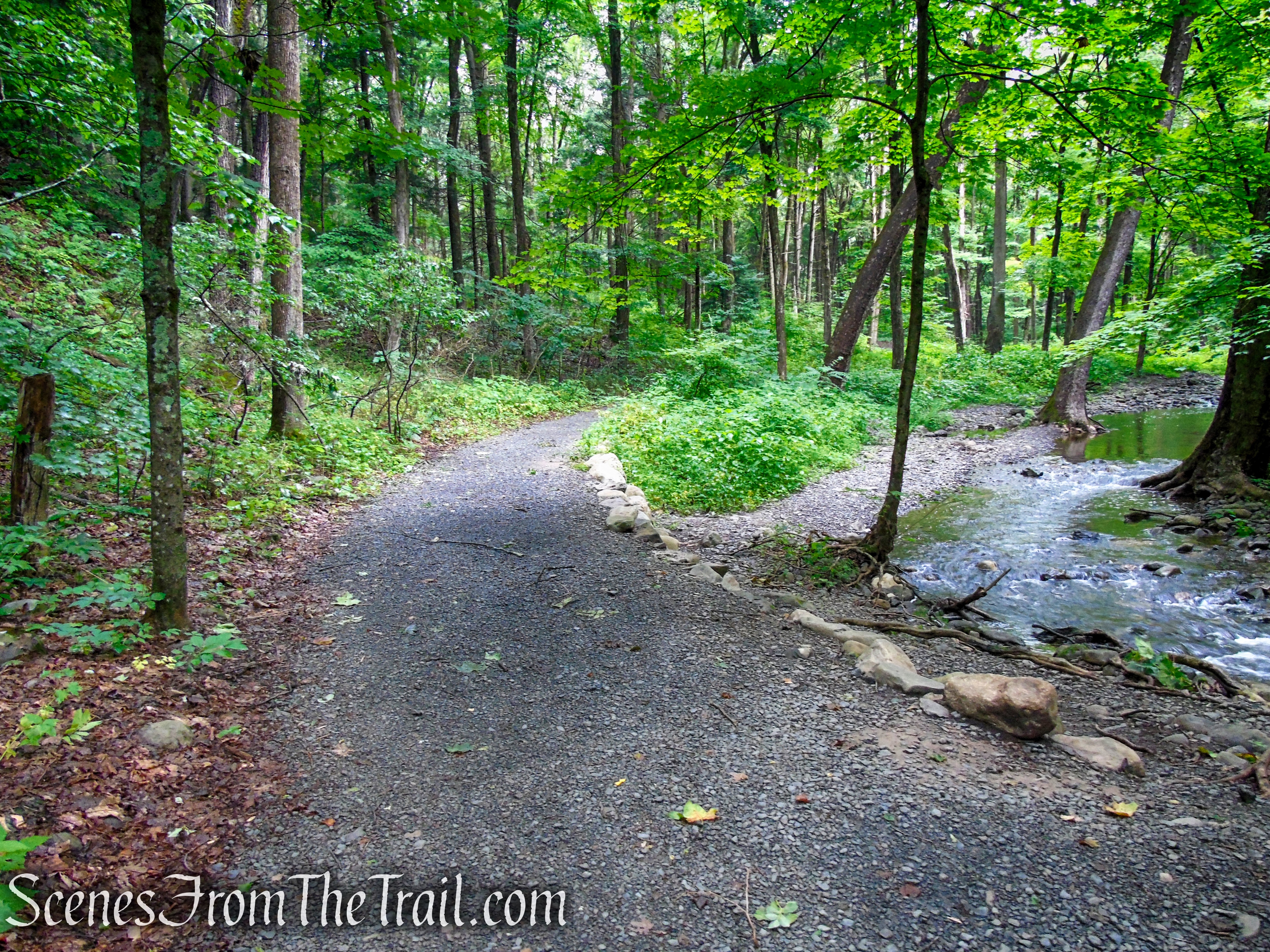 Lower Hornbecks Creek Trail