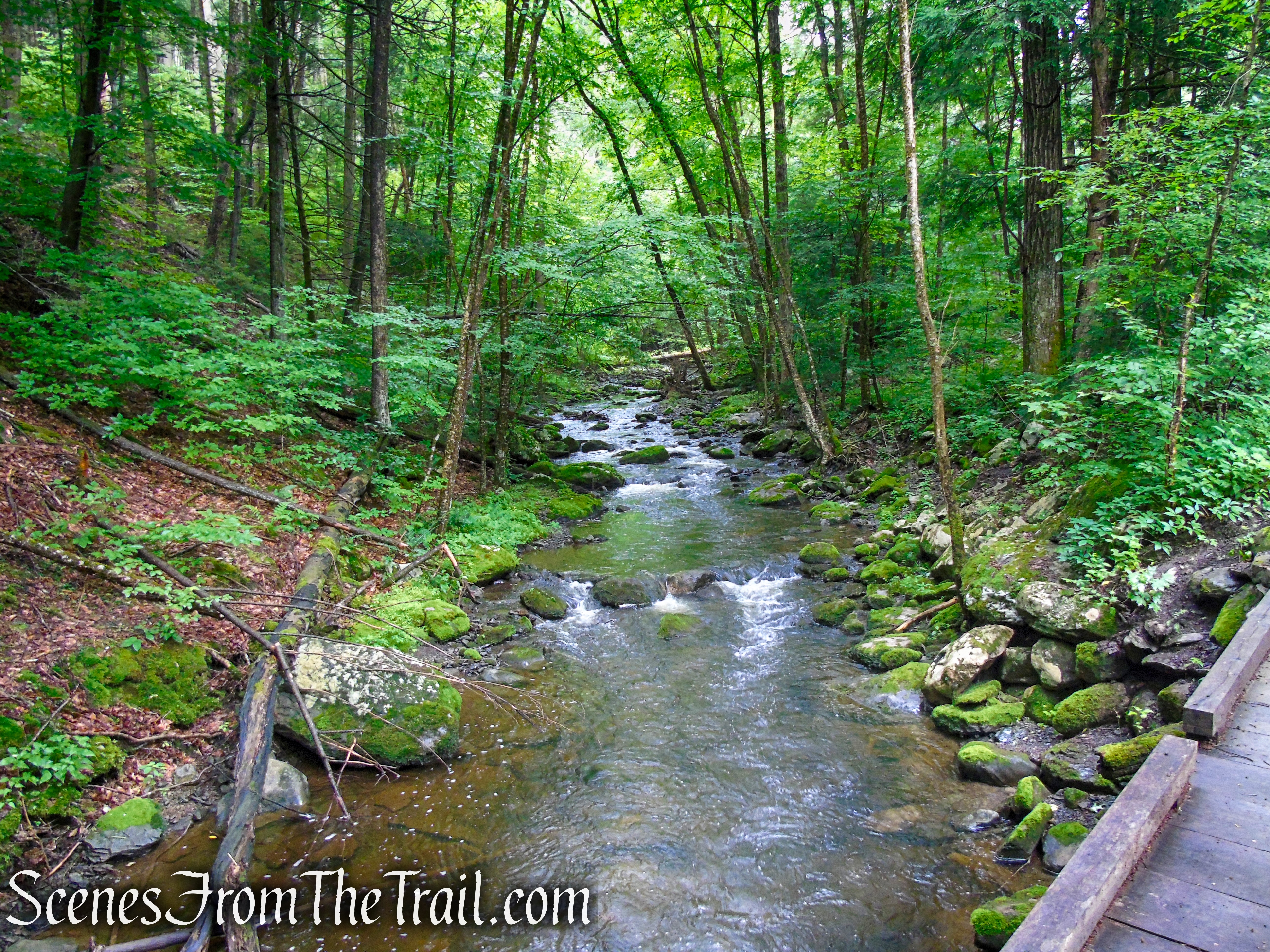 Lower Hornbecks Creek Trail
