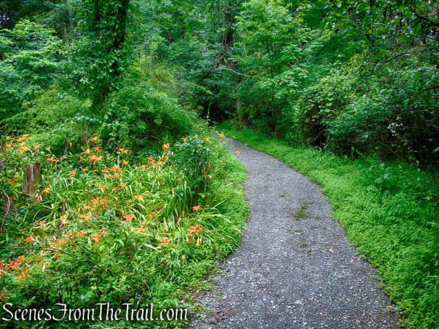 Lower Hornbecks Creek Trail