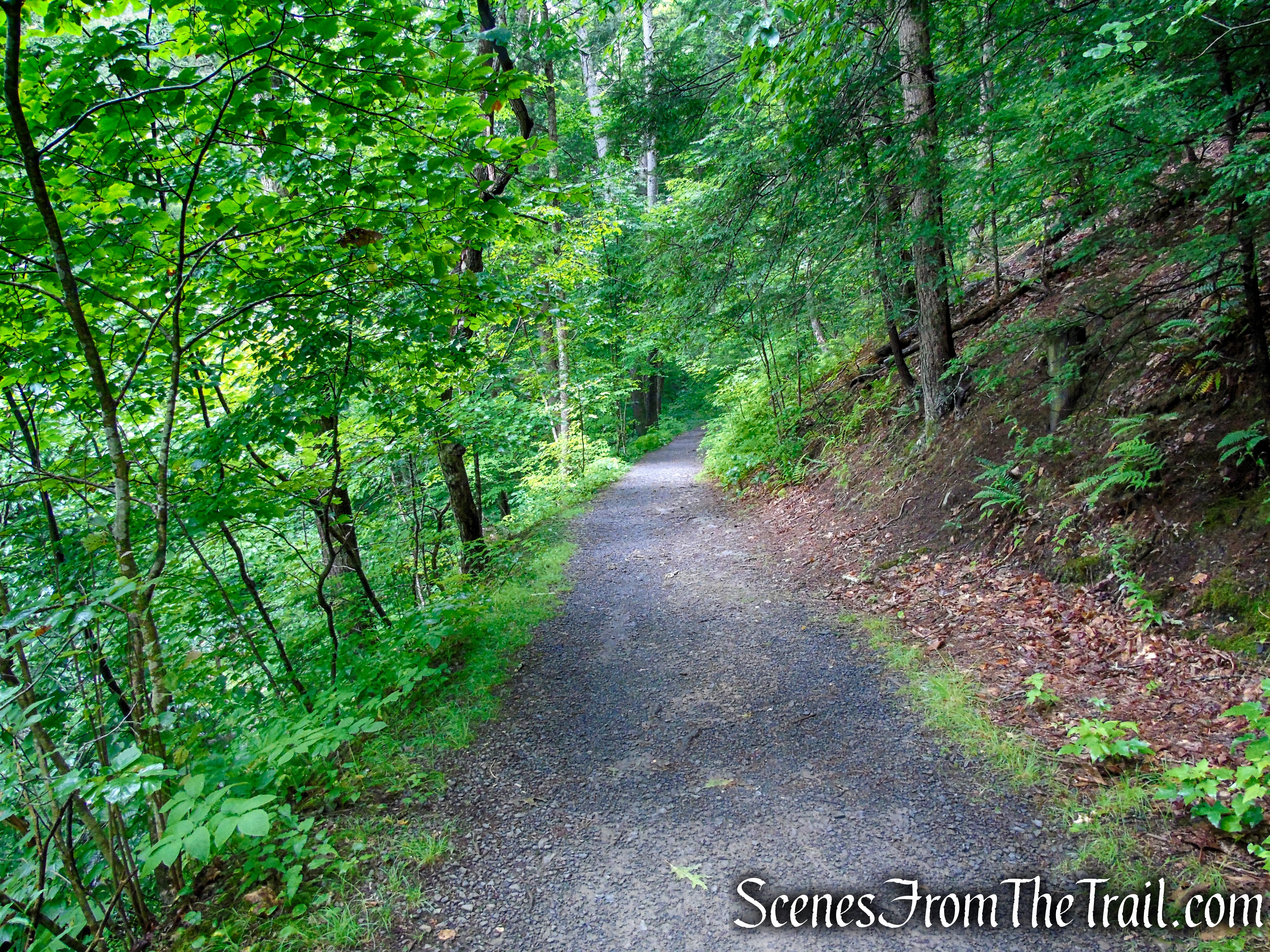 Lower Hornbecks Creek Trail