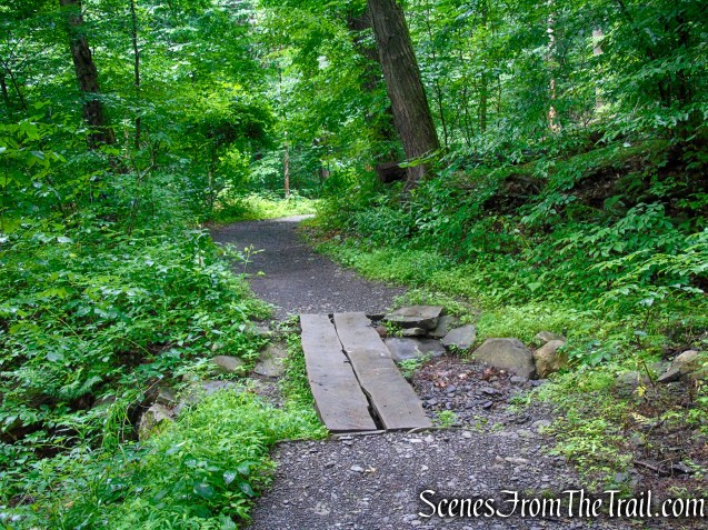 Lower Hornbecks Creek Trail