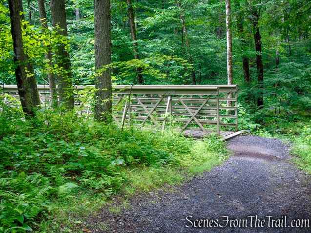 Lower Hornbecks Creek Trail