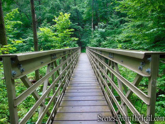 Lower Hornbecks Creek Trail