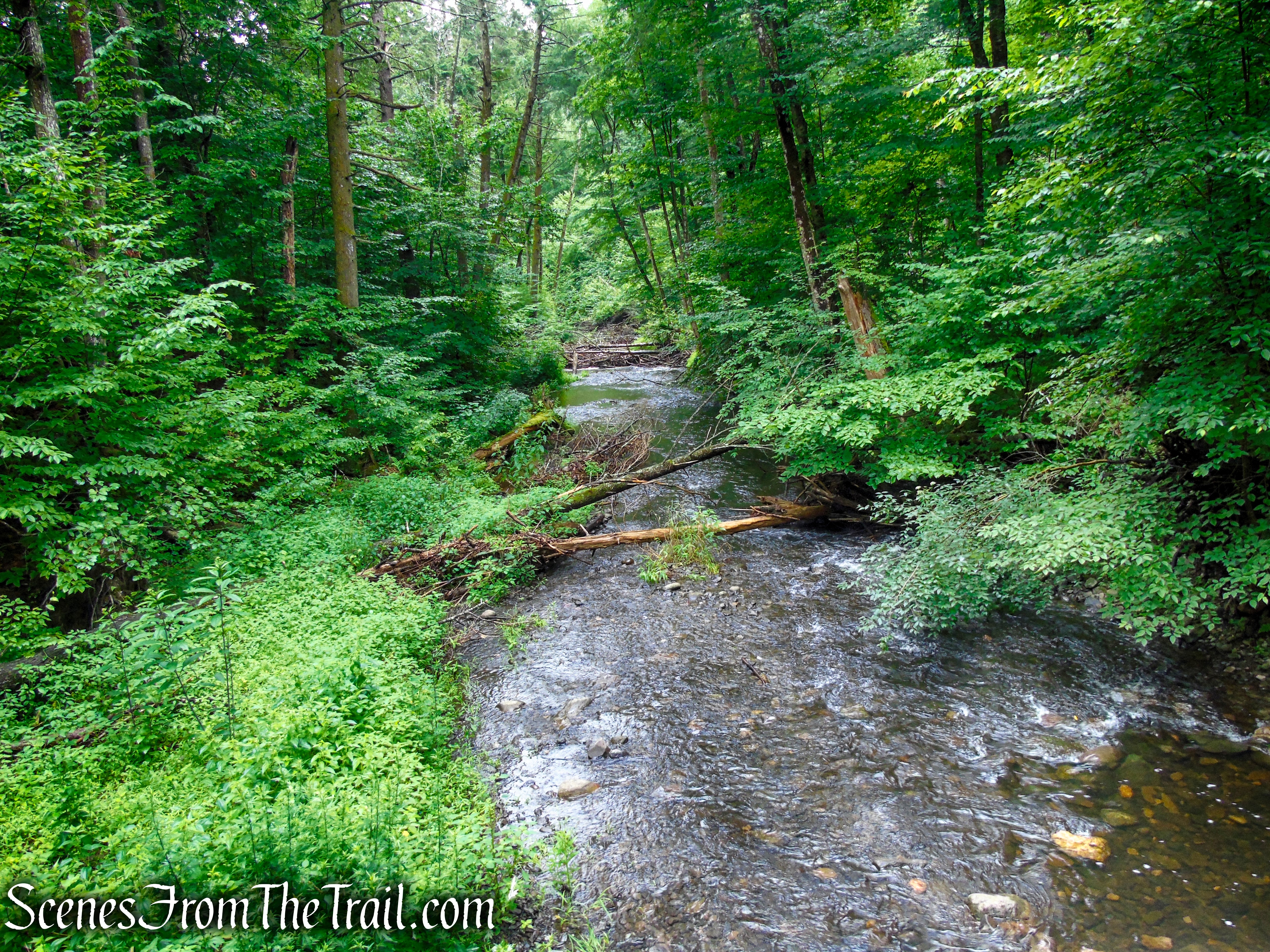 Lower Hornbecks Creek Trail