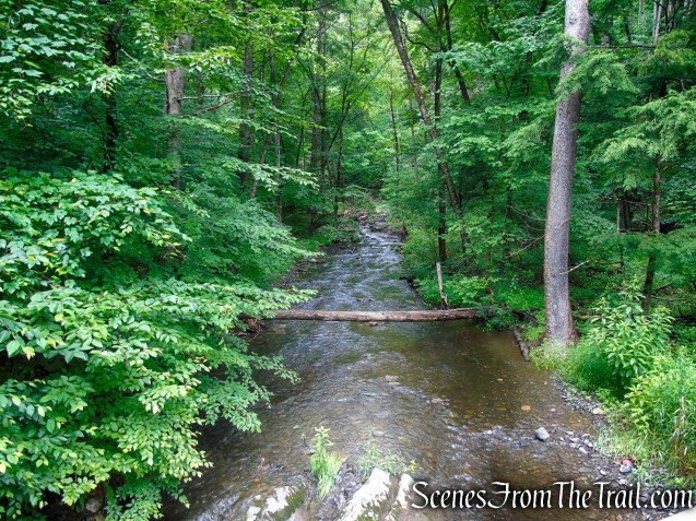 Lower Hornbecks Creek Trail