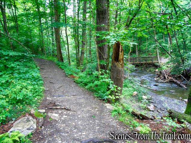Lower Hornbecks Creek Trail