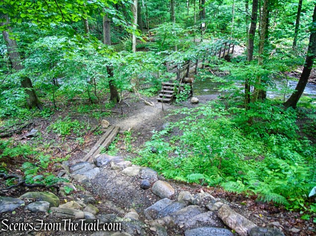Lower Hornbecks Creek Trail