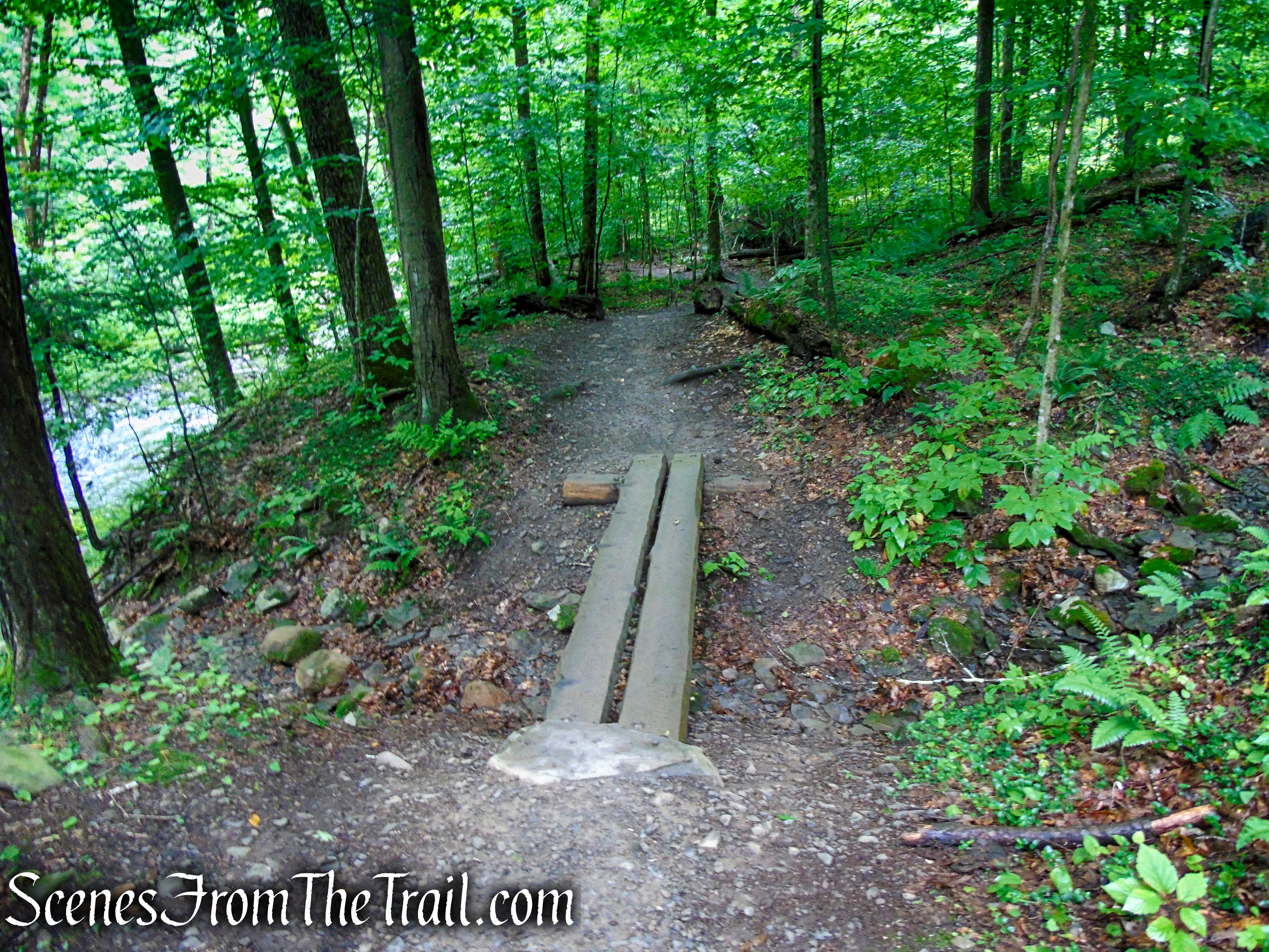 Lower Hornbecks Creek Trail