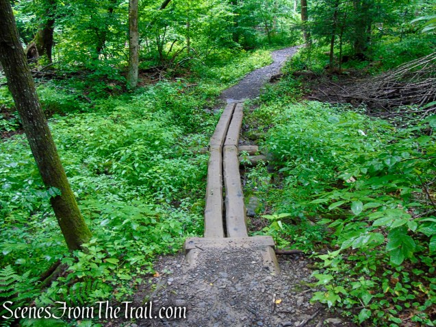 Lower Hornbecks Creek Trail