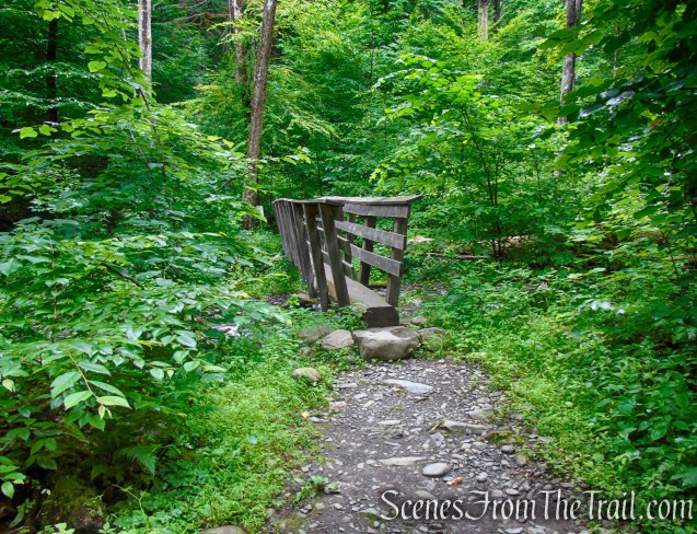 Lower Hornbecks Creek Trail