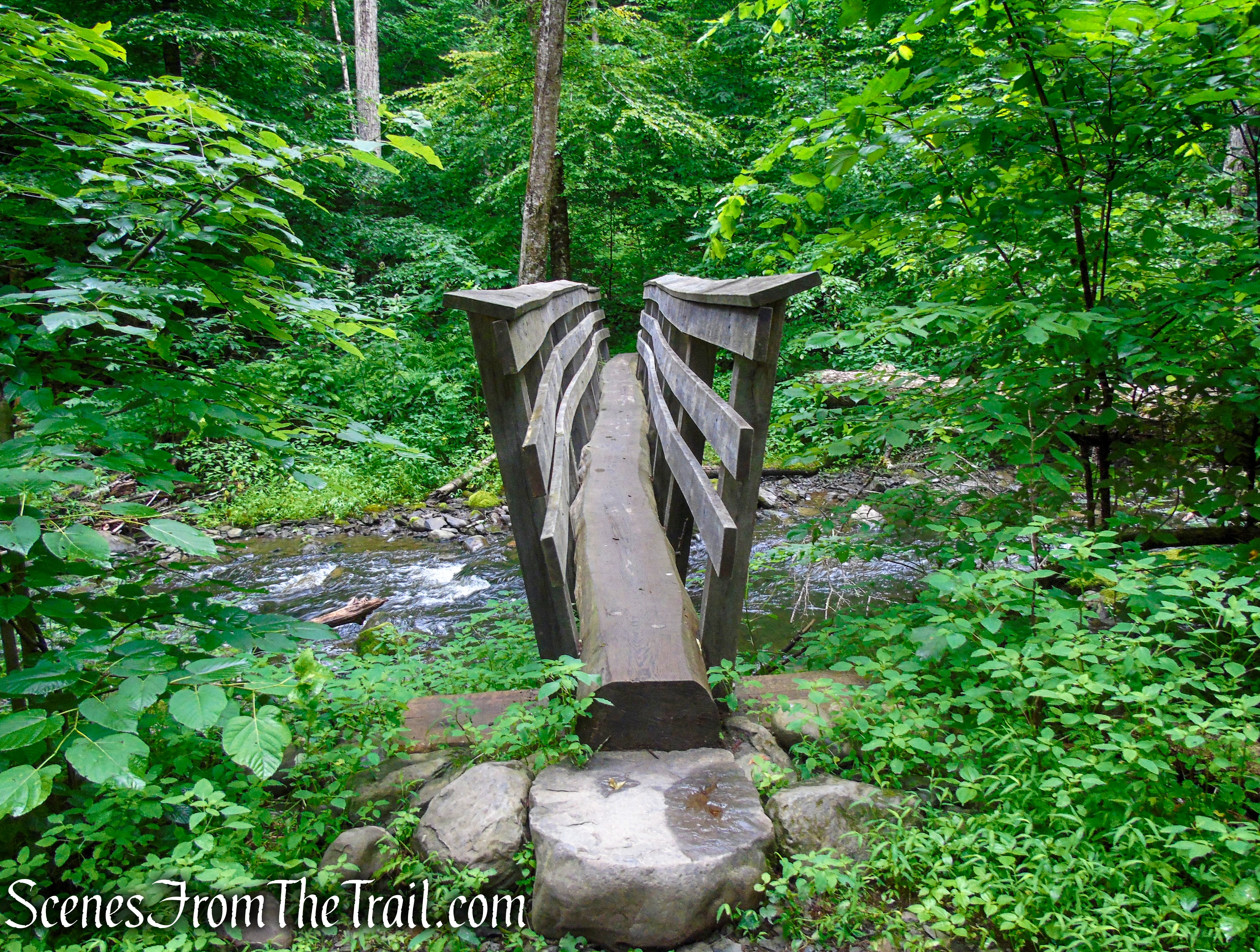 Lower Hornbecks Creek Trail