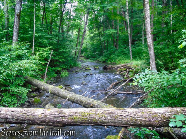 Lower Hornbecks Creek Trail
