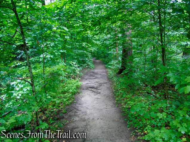 Lower Hornbecks Creek Trail