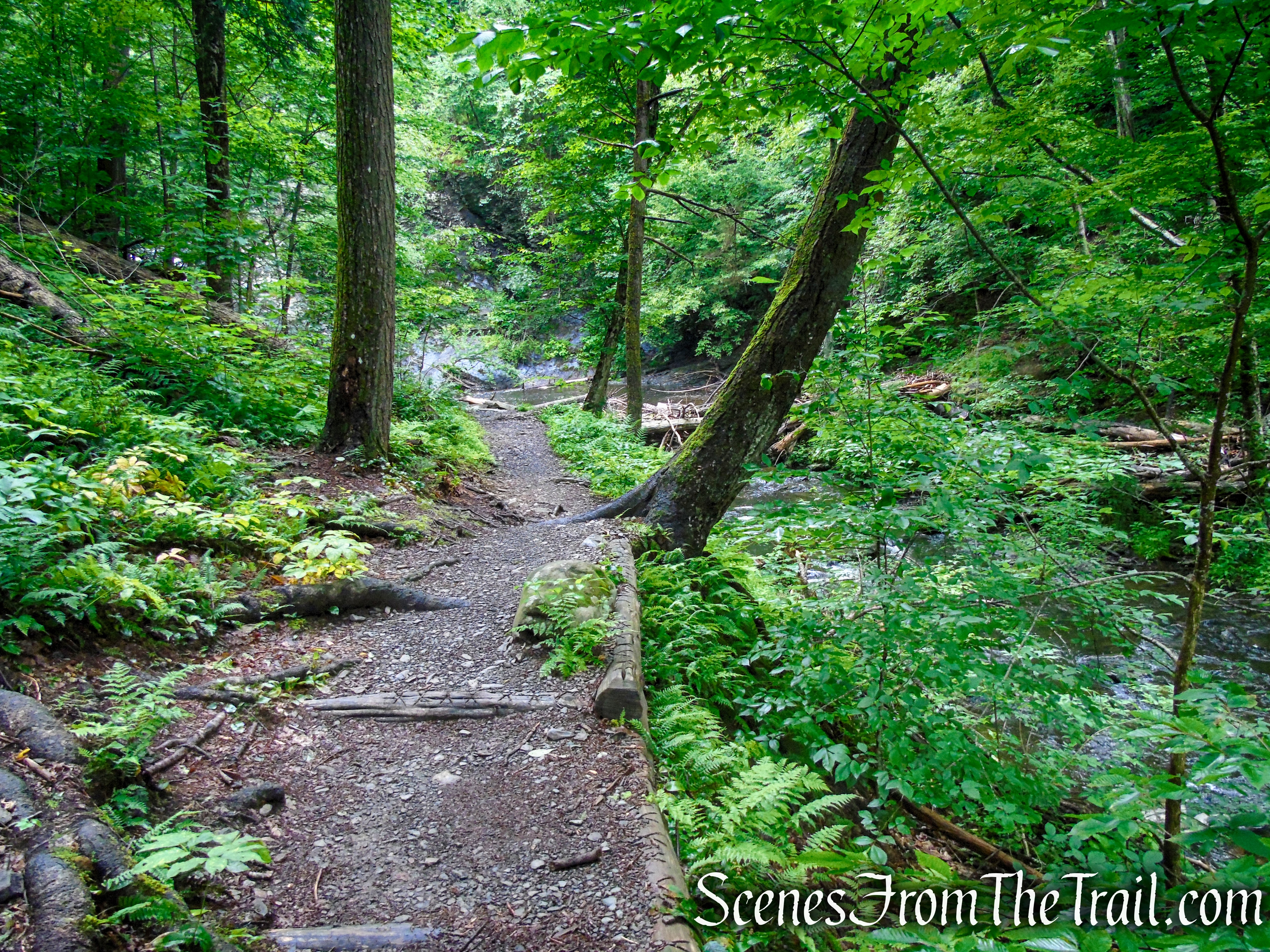 Lower Hornbecks Creek Trail