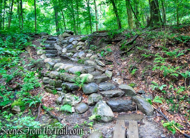 Lower Hornbecks Creek Trail
