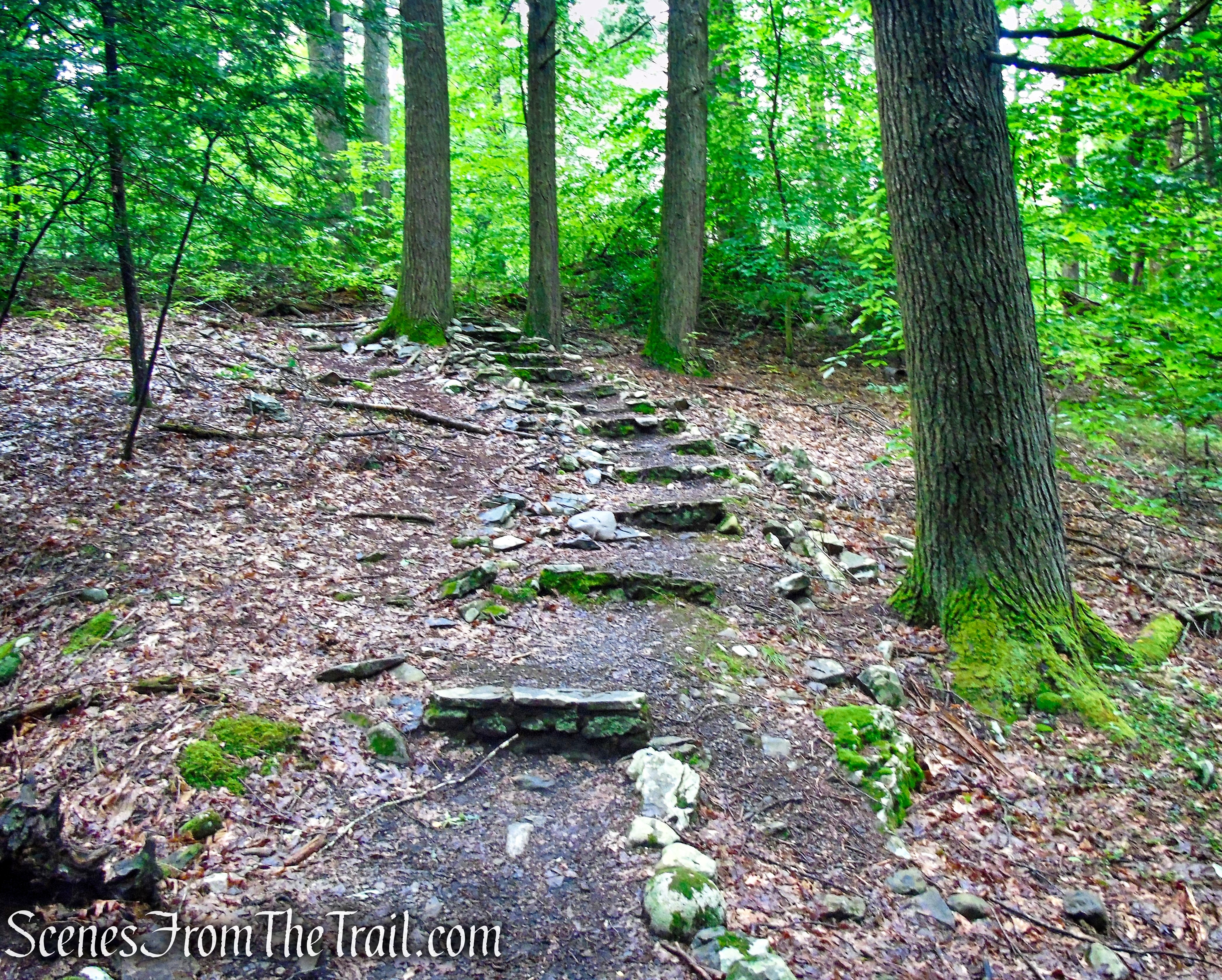 Lower Hornbecks Creek Trail